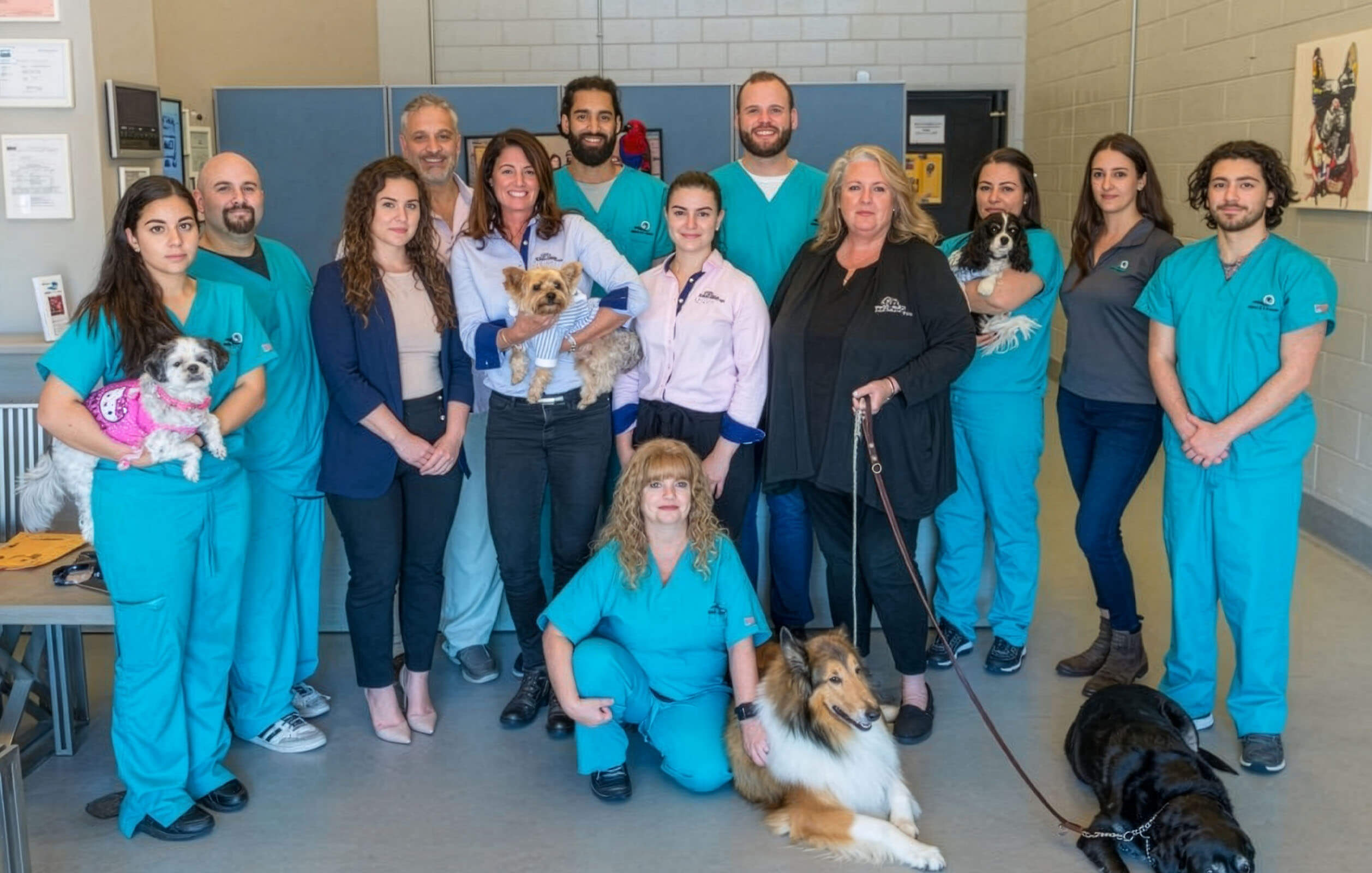 The staff at the ARK Pet Oasis