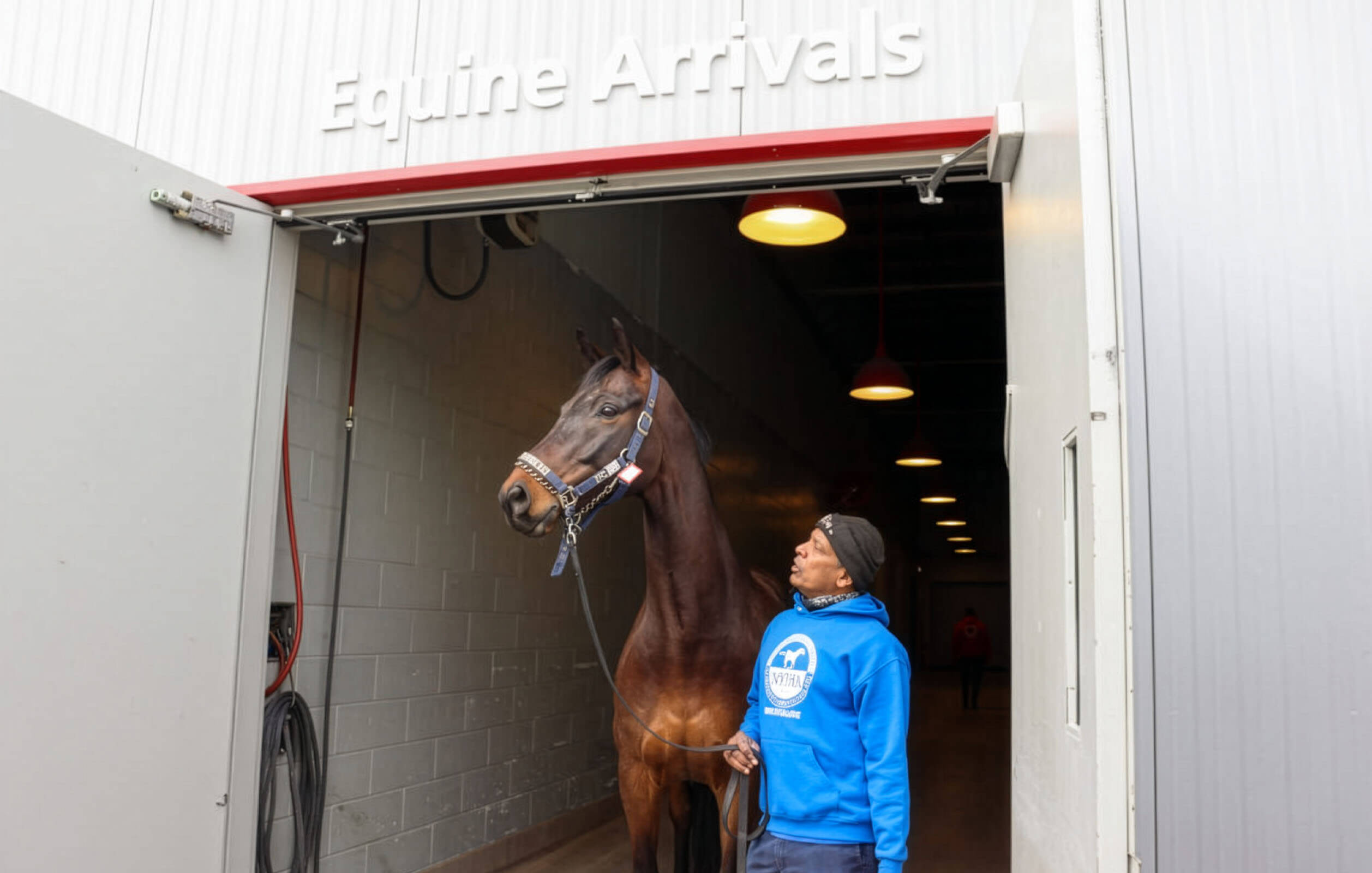 A member of the ARK at JFK team leading a horse outside