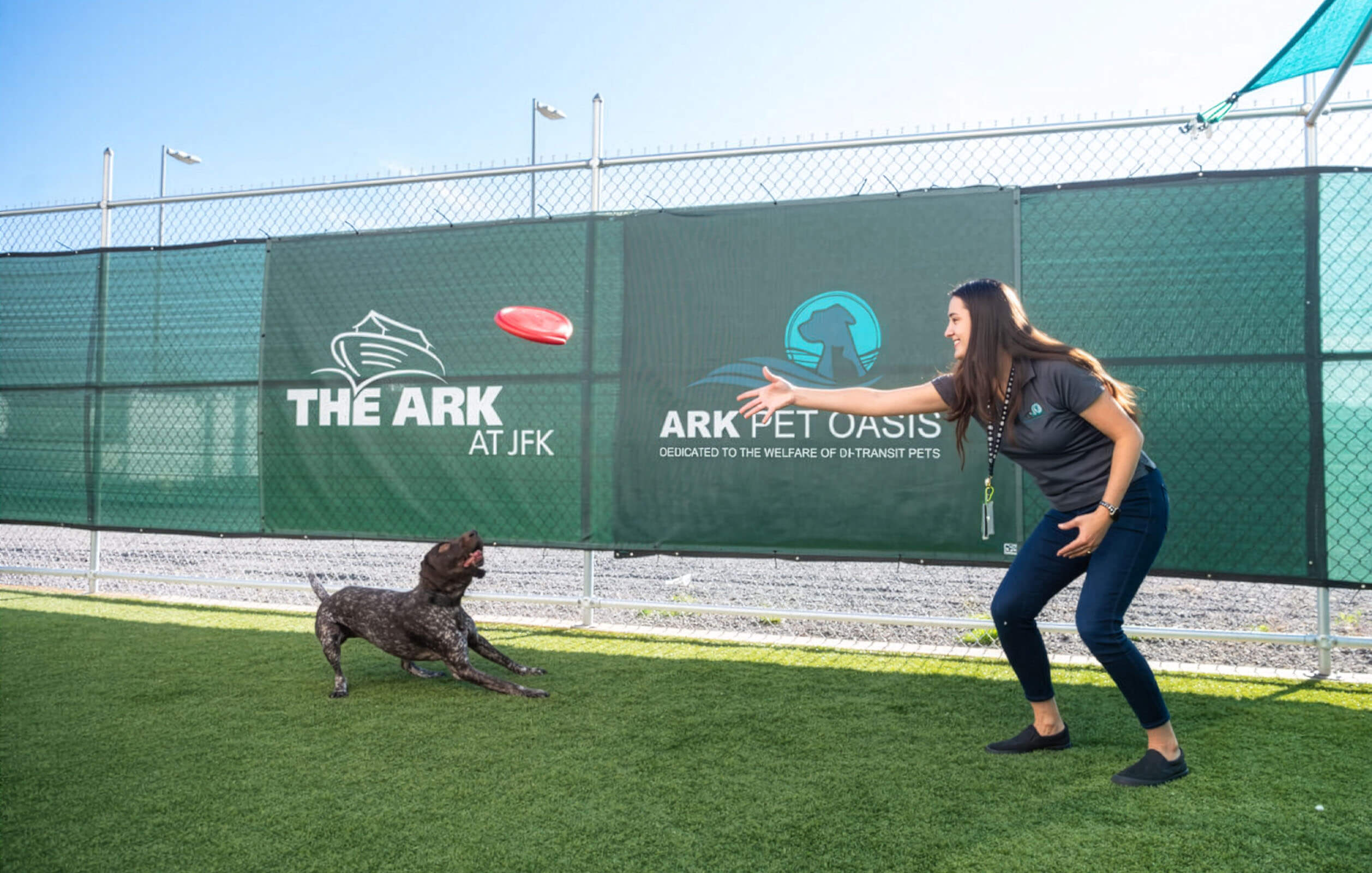 A member of the ARK at JFK team playing with a dog in the outdoor play area