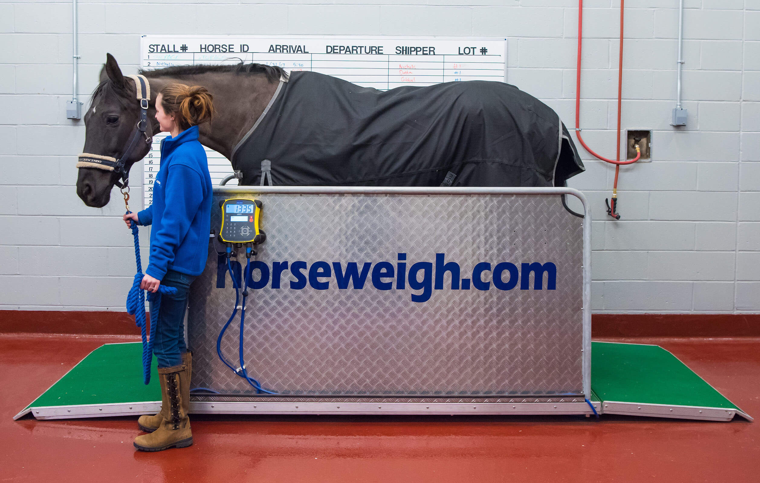 A member of the ARK at JFK team weighing a horse